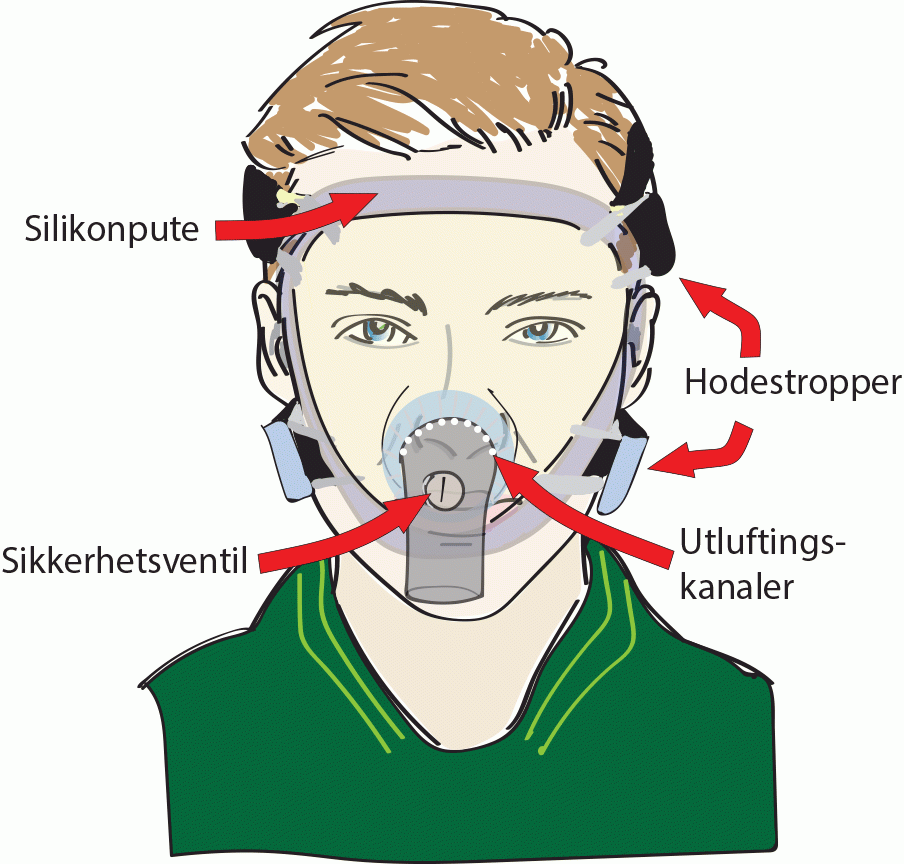 Modul Valg Av Maske Helsekompetanse